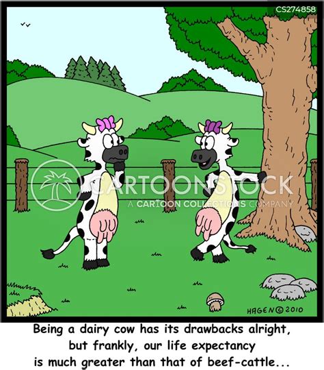 Eating Beef Cartoons And Comics Funny Pictures From Cartoonstock