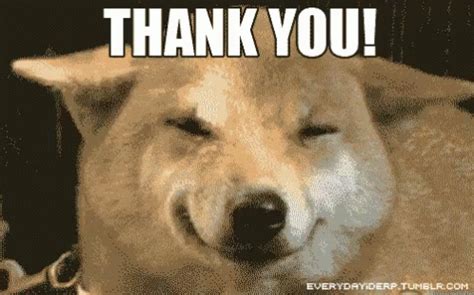 The thank you gifs may be used on non profit personal and educational websites. Thank You GIF - Thank You Meme and Animated GIFs