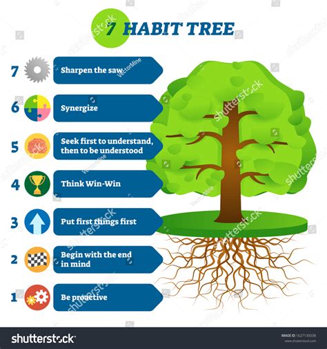 7 Habit Tree Success Mindset Stages Vetor Stock Livre De Direitos 1627130038 Shutterstock