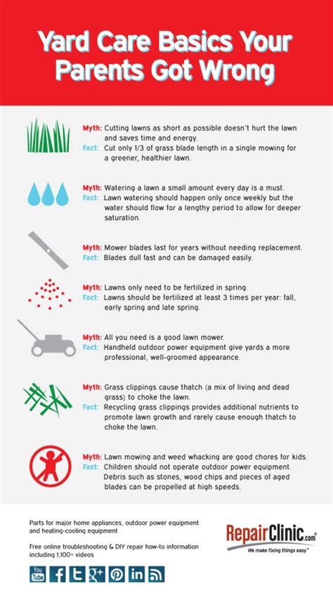 Remember, a good looking lawn is a. Yard care basics your parents got wrong | Yard care, Lawn mowing business, Lawn care tips