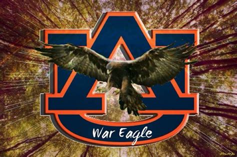 War Eagle Sports Pinterest