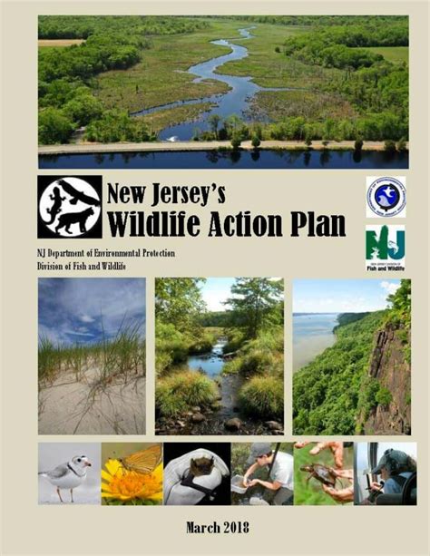 Njdep Fish And Wildlife New Jerseys State Wildlife Action Plan
