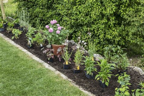 Maybe you would like to learn more about one of these? Pin auf Garten