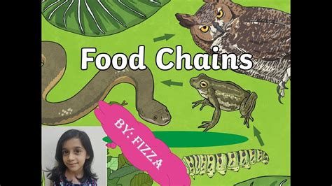 An important abiotic factor within an community is energy. Food Chain Video For Kids Learning - YouTube
