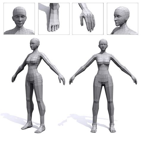 Low Poly Female With Images 3d Model Female Base Model