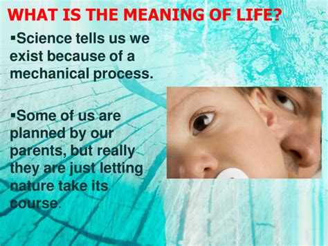 What Is The Meaning Of Life Teaching Resources