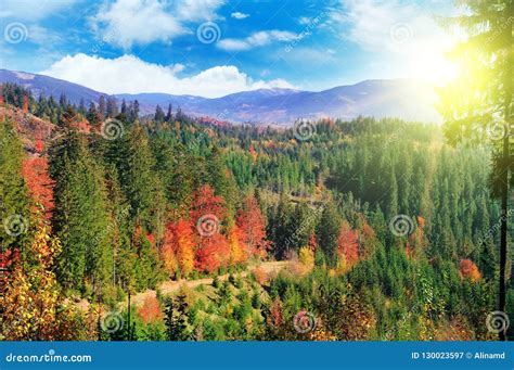 Beautiful Autumn Landscape Mountains Carpathians Ukraine Stock Image