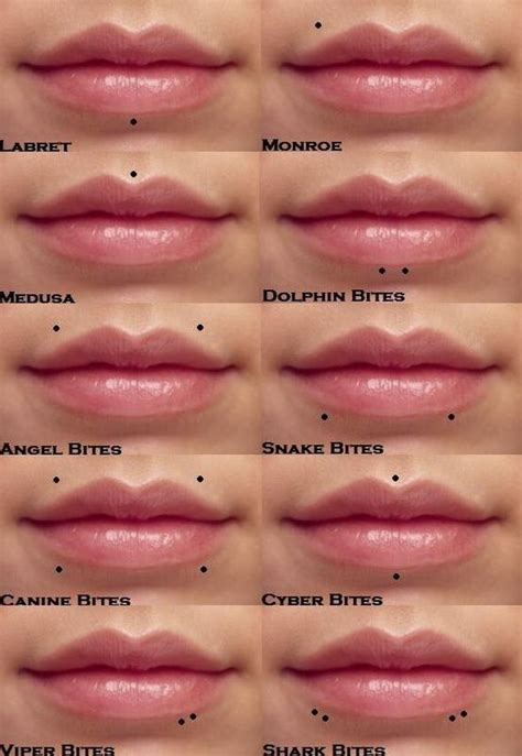 Beautiful Examples Of Lip Piercings Piercing