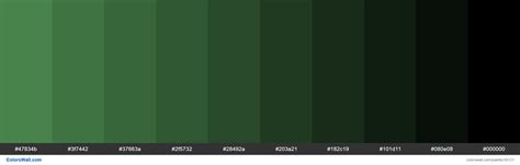 Shades Xkcd Color Light Forest Green 4f9153 Hex Colors Palette