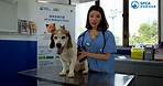 SPCA (HK) 香港愛護動物協會 - 愛協寵物保健計劃