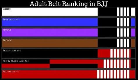 The Bjj Belt System Everything You Need To Know Origin Fighter
