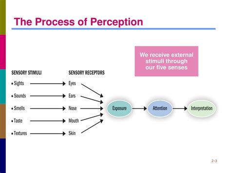 PPT Chapter Perception PowerPoint Presentation Free Download ID