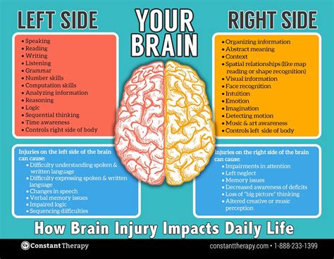 Right Brain Injury Vs Left Brain Injury Understanding