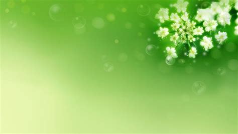 Fresh Green Flower Background Stock Photo Free Download