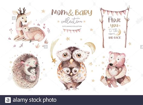 Watercolor Little Owl Bear Deer And Hedgehog Baby And Mother