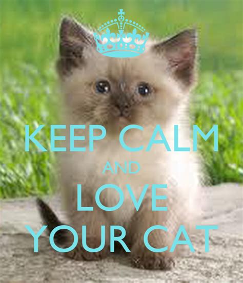 Keep Calm And Love Your Cat Poster 678u7y Keep Calm O Matic