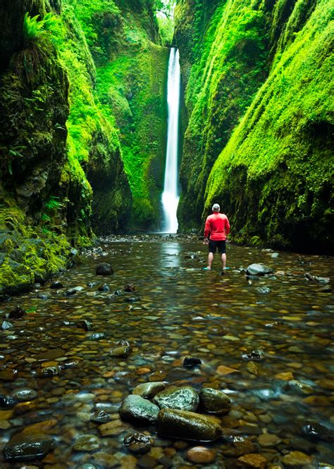 Oneonta Gorge Trail Professional Photographer In Cleveland