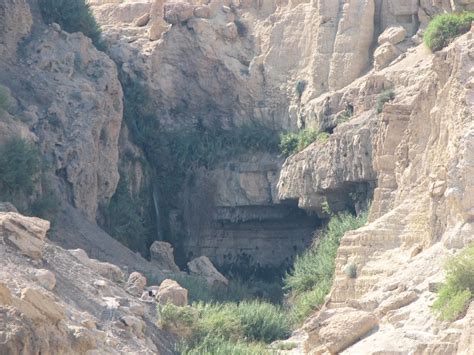 Ein Gedi Private Guide Israel