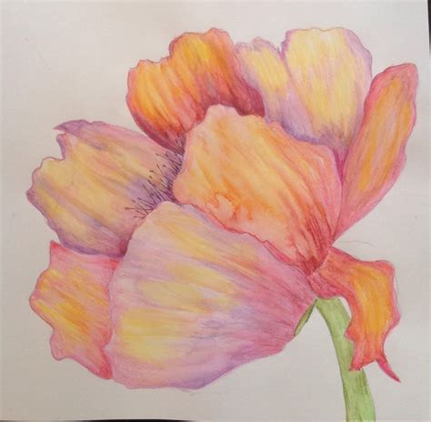 24 Best Watercolor Pencils Images On Pinterest Watercolor Painting