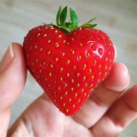 Heart Shaped Strawberry Funny Fruit Fruit Heart Shapes