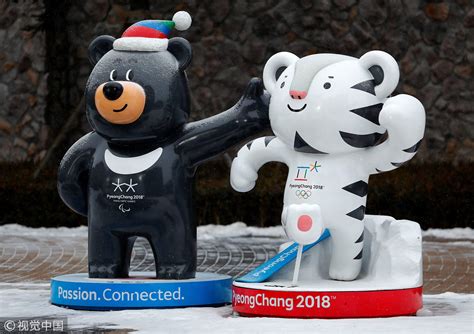 Reporters Diary Mascot Soohorang In Pyeongchang Olympics Cgtn