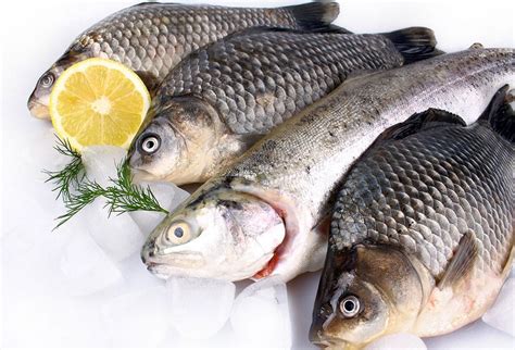 How To Buy Fresh Fish Choosing The Freshest Most Delicious Fish