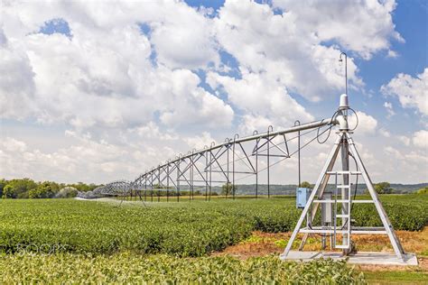 A Soybean Field In The American Midwest Is Watered By A Center Pivot Irrigation System Under A
