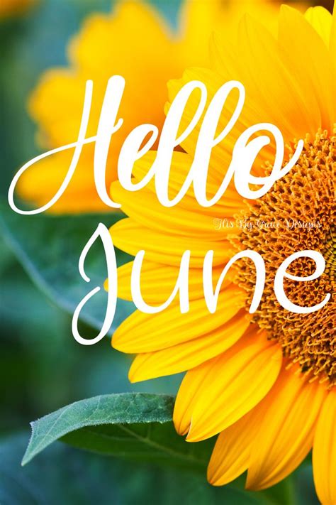 Hello June 1st Day Of June June Picture In 2021 Hello June June