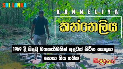 Kanneliya Rain Forest Galle Travel Vlog Travel With Salanke Youtube