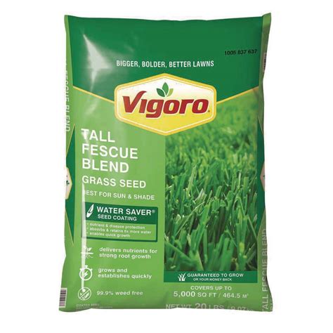 Vigoro 20 Lbs Tall Fescue Grass Seed Blend With Water Saver Seed