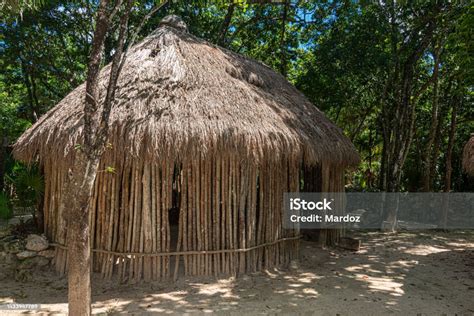 Traditional Mayan Hut In The Mexican Rainforest Stock Photo Download