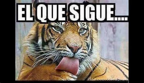 Chivas Vs Tigres Memes Tras El Empate 2 2 De La Primera Final De La Liga Mx Foto 1 De 29