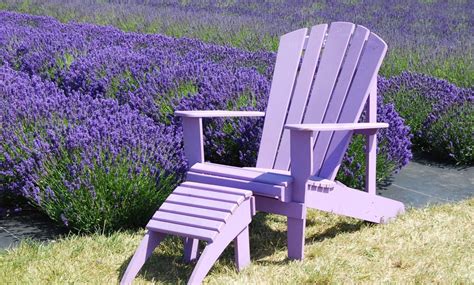 Cut flowers for fresh or dried arrangements. English Lavender Seeds | Groupon Goods