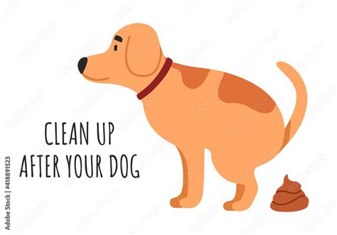 How Clean Your Dogs Poop