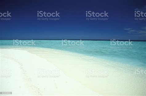Asia Indian Ocean Maldives Seascape Beach Stock Photo Download Image