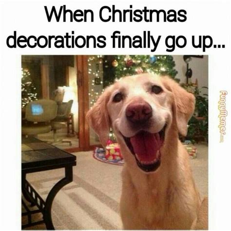 Woohoo!!!!!  Christmas memes funny, Funny merry christmas memes