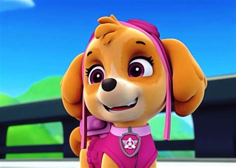 Paw Patrol Skye Pikolcreator 252 Hot Sex Picture