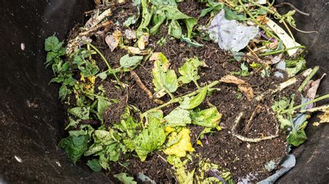 How To Make Compost The Easy Way California Gardening