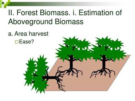 Ppt Biomass Productivity And Allocation Powerpoint Presentation