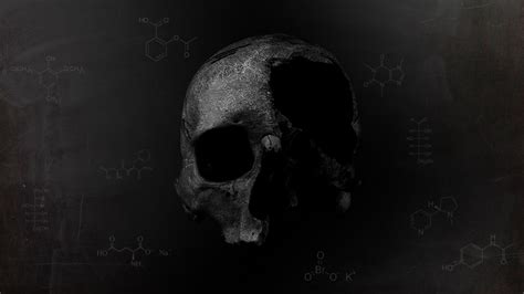 Wallpaper Skull Monochrome Dark Darkness Skull Art Black And White Images And Photos Finder