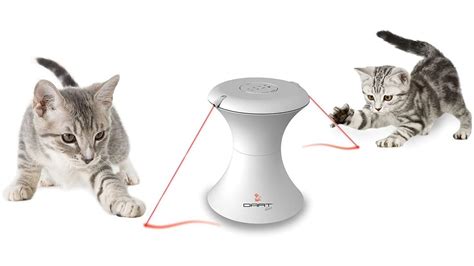 Best Interactive Cat Toys Fun Toys For Better Cat Play Petsradar