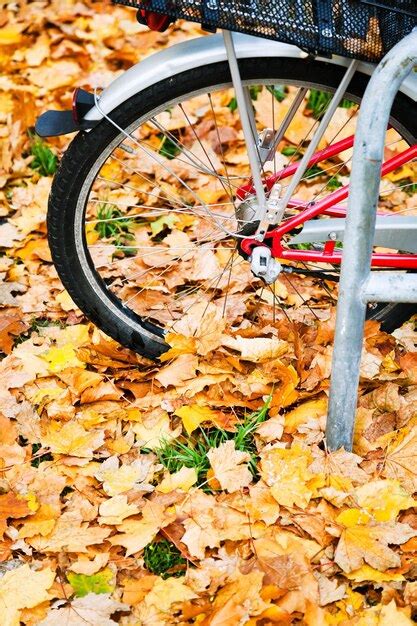 Premium Photo Wheel Of Bicycle In Autumn Leaves