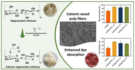 Polysaccharides Free Full Text From Regenerated Wood Pulp Fibers To