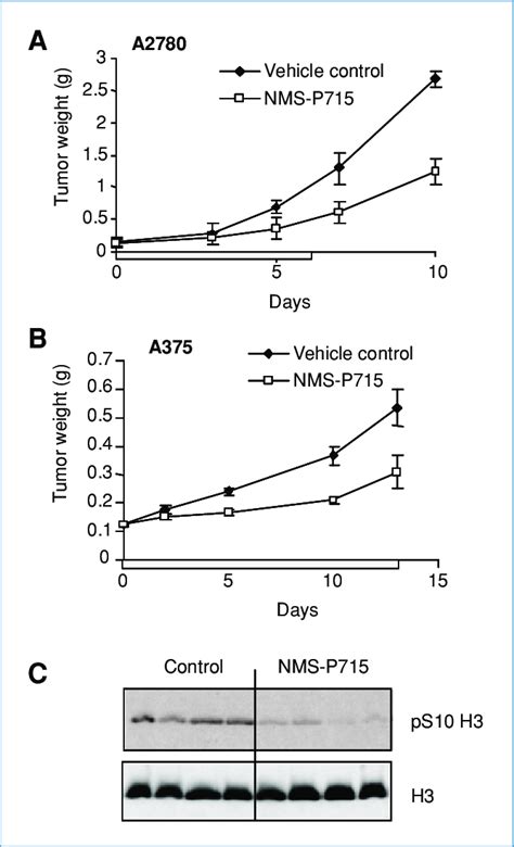 NMS P715 Has In Vivo Antitumor Activity Associated With Biomarker