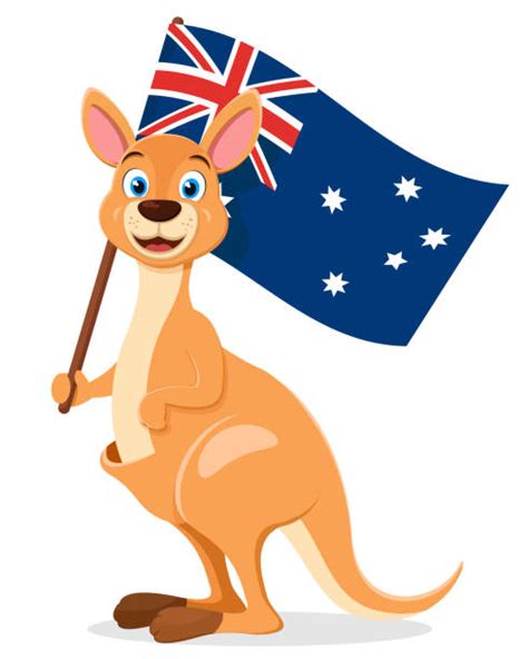 Cartoon Of A Kangaroo To Color Illustrations Royalty Free Vector