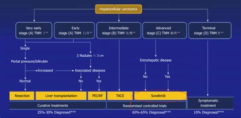 Algorithm For Treatment Of Hepatocellular Carcinoma Download