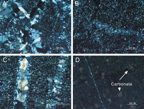 Photomicrographs Of Chert Samples A Geopetal Structure Containing