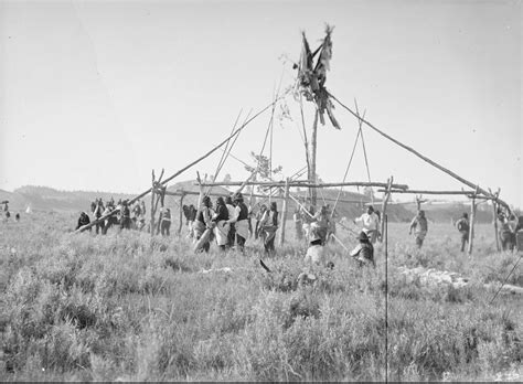 Raising The Clan Poles In The Sun Dance Lodge Group Of Cheyenne People
