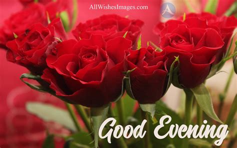 30 Good Evening Image With Red Rose Lovely Good Evening Images Hd