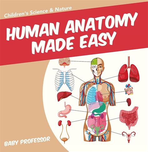 Human Anatomy Made Easy Childrens Science And Nature Ebook Professor